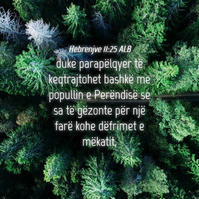 Picture 04 - Hebrenjve 11:25 ALB - duke parapëlqyer të keqtrajtohet bashkë me - Bible Verse Picture