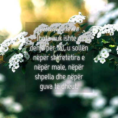 Picture 04 - Hebrenjve 11:38 ALB - (bota nuk ishte e denjë për ta), u sollën - Bible Verse Picture