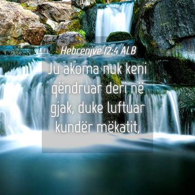Picture 04 - Hebrenjve 12:4 ALB - Ju akoma nuk keni qëndruar deri në gjak, duke - Bible Verse Picture