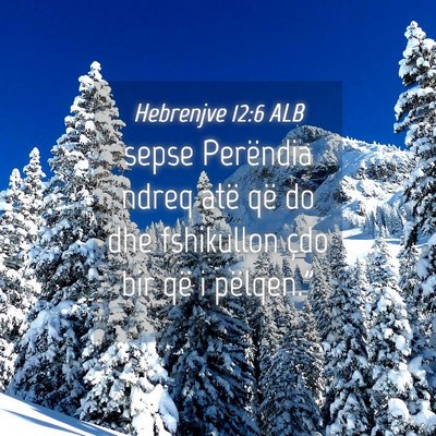 Picture 04 - Hebrenjve 12:6 ALB - sepse Perëndia ndreq atë që do dhe fshikullon - Bible Verse Picture