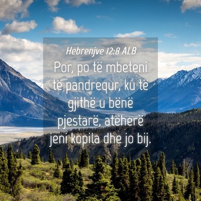 Picture 04 - Hebrenjve 12:8 ALB - Por, po të mbeteni të pandrequr, ku të gjithë - Bible Verse Picture