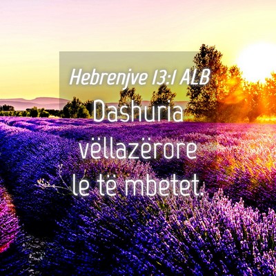 Picture 04 - Hebrenjve 13:1 ALB - Dashuria vëllazërore le të - Bible Verse Picture
