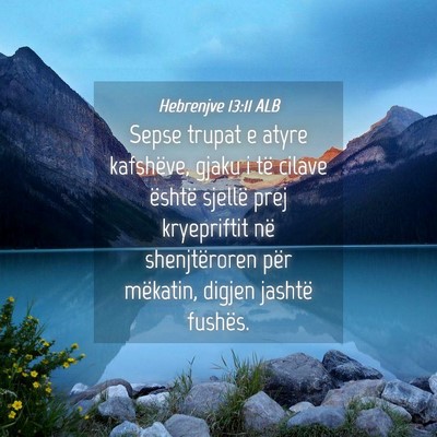 Picture 04 - Hebrenjve 13:11 ALB - Sepse trupat e atyre kafshëve, gjaku i të - Bible Verse Picture