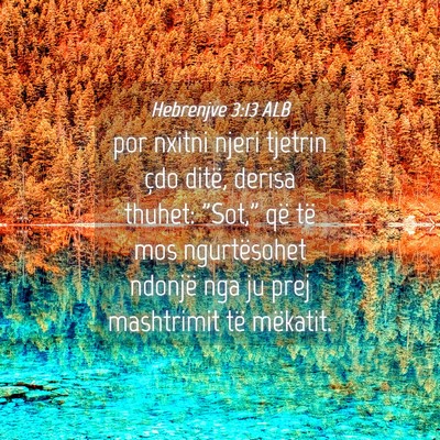 Picture 04 - Hebrenjve 3:13 ALB - por nxitni njeri tjetrin çdo ditë, derisa - Bible Verse Picture