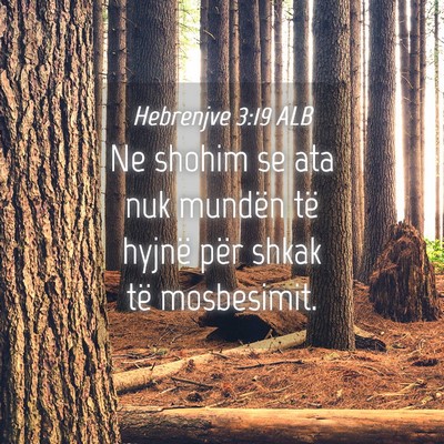 Picture 04 - Hebrenjve 3:19 ALB - Ne shohim se ata nuk mundën të hyjnë për - Bible Verse Picture