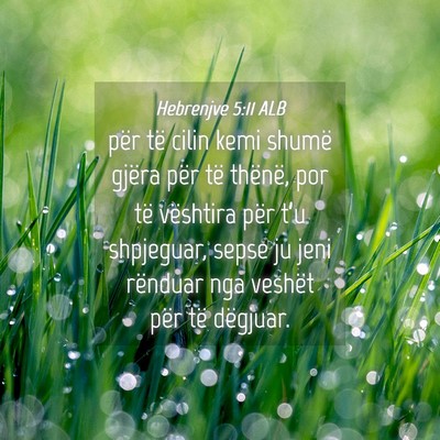 Picture 04 - Hebrenjve 5:11 ALB - për të cilin kemi shumë gjëra për të - Bible Verse Picture