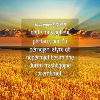Picture 04 - Hebrenjve 6:12 ALB - që të mos bëheni përtacë, por t’u - Bible Verse Picture