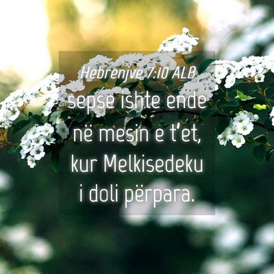 Picture 04 - Hebrenjve 7:10 ALB - sepse ishte ende në mesin e t’et, kur - Bible Verse Picture