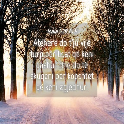 Picture 04 - Isaia 1:29 ALB - Atëherë do t’ju vijë turp për lisat që - Bible Verse Picture