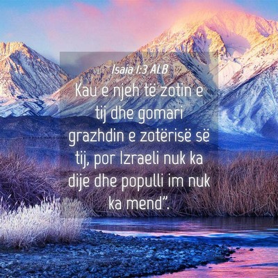 Picture 04 - Isaia 1:3 ALB - Kau e njeh të zotin e tij dhe gomari grazhdin e - Bible Verse Picture
