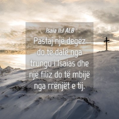 Picture 04 - Isaia 11:1 ALB - Pastaj një degëz do të dalë nga trungu i - Bible Verse Picture
