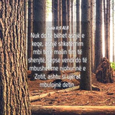 Picture 04 - Isaia 11:9 ALB - Nuk do të bëhet asnjë e keqe, asnjë - Bible Verse Picture