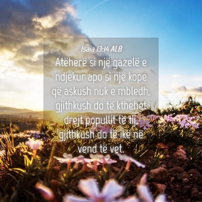 Picture 04 - Isaia 13:14 ALB - Atëherë si një gazelë e ndjekur apo si një - Bible Verse Picture