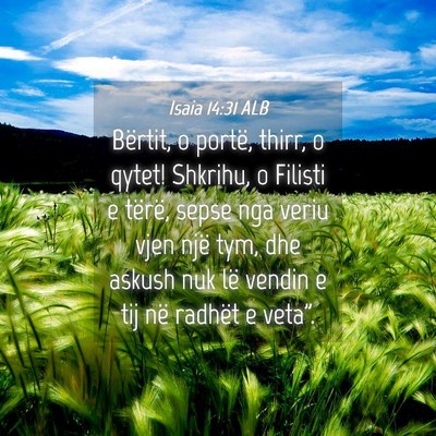 Picture 04 - Isaia 14:31 ALB - Bërtit, o portë, thirr, o qytet! Shkrihu, o - Bible Verse Picture