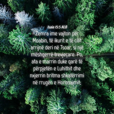 Picture 04 - Isaia 15:5 ALB - Zemra ime vajton për Moabin, të ikurit e të - Bible Verse Picture