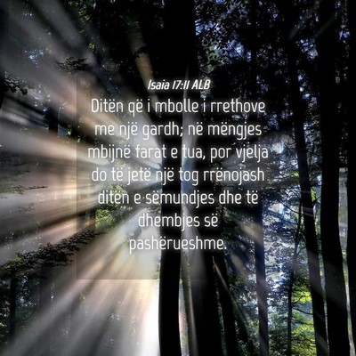 Picture 04 - Isaia 17:11 ALB - Ditën që i mbolle i rrethove me një gardh; në - Bible Verse Picture