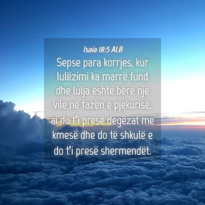 Picture 04 - Isaia 18:5 ALB - Sepse para korrjes, kur lulëzimi ka marrë fund - Bible Verse Picture