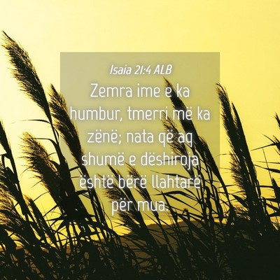 Picture 04 - Isaia 21:4 ALB - Zemra ime e ka humbur, tmerri më ka zënë; nata - Bible Verse Picture