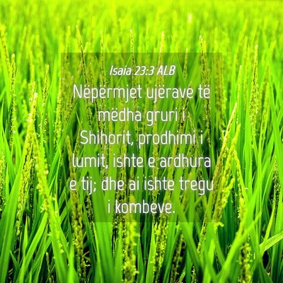 Picture 04 - Isaia 23:3 ALB - Nëpërmjet ujërave të mëdha gruri i Shihorit, - Bible Verse Picture
