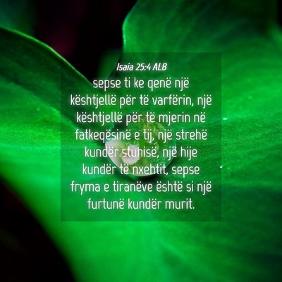 Picture 04 - Isaia 25:4 ALB - sepse ti ke qenë një kështjellë për të - Bible Verse Picture
