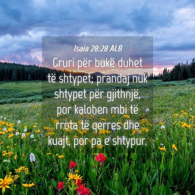 Picture 04 - Isaia 28:28 ALB - Gruri për bukë duhet të shtypet; prandaj nuk - Bible Verse Picture