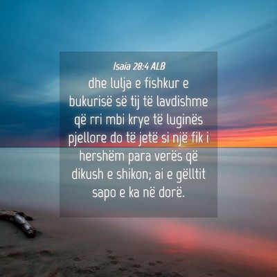 Picture 04 - Isaia 28:4 ALB - dhe lulja e fishkur e bukurisë së tij të - Bible Verse Picture