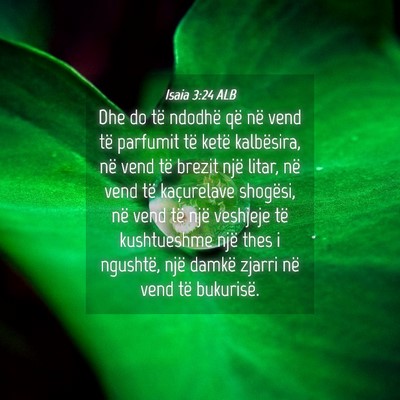 Picture 04 - Isaia 3:24 ALB - Dhe do të ndodhë që në vend të parfumit të - Bible Verse Picture