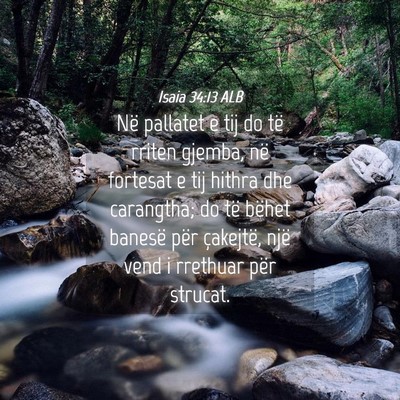 Picture 04 - Isaia 34:13 ALB - Në pallatet e tij do të rriten gjemba, në - Bible Verse Picture