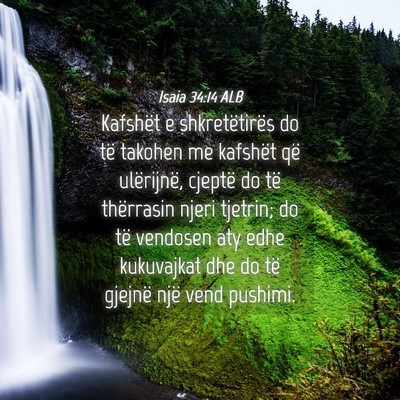 Picture 04 - Isaia 34:14 ALB - Kafshët e shkretëtirës do të takohen me - Bible Verse Picture