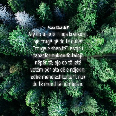 Picture 04 - Isaia 35:8 ALB - Aty do të jetë rruga kryesore, një rrugë që - Bible Verse Picture