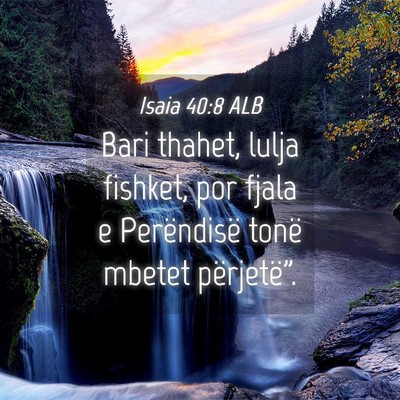 Picture 04 - Isaia 40:8 ALB - Bari thahet, lulja fishket, por fjala e - Bible Verse Picture