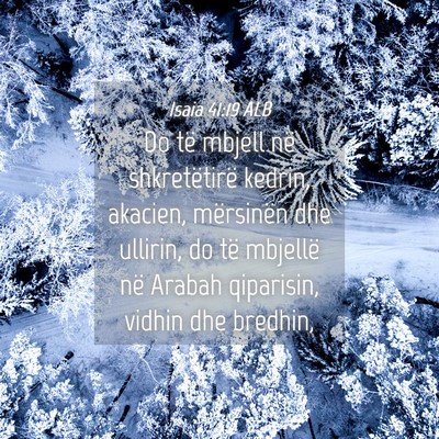Picture 04 - Isaia 41:19 ALB - Do të mbjell në shkretëtirë kedrin, akacien, - Bible Verse Picture