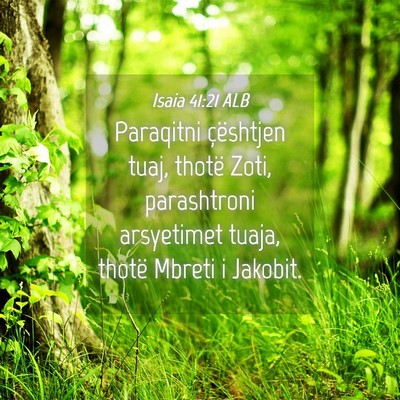 Picture 04 - Isaia 41:21 ALB - Paraqitni çështjen tuaj, thotë Zoti, - Bible Verse Picture