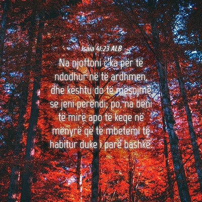 Picture 04 - Isaia 41:23 ALB - Na njoftoni ç’ka për të ndodhur në të - Bible Verse Picture