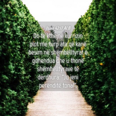 Picture 04 - Isaia 42:17 ALB - Do të kthejnë kurrizin plot me turp ata që - Bible Verse Picture