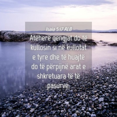 Picture 04 - Isaia 5:17 ALB - Atëherë qengjat do të kullosin si në kullotat - Bible Verse Picture
