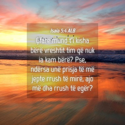 Picture 04 - Isaia 5:4 ALB - Çfarë mund t’i kisha bërë vreshtit tim që - Bible Verse Picture