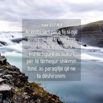 Picture 04 - Isaia 53:2 ALB - Ai erdhi lart para tij si një degëz, si një - Bible Verse Picture