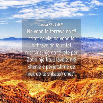 Picture 04 - Isaia 55:13 ALB - Në vend të ferrave do të rritet selvia, në - Bible Verse Picture
