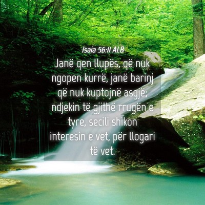 Picture 04 - Isaia 56:11 ALB - Janë qen llupës, që nuk ngopen kurrë, janë - Bible Verse Picture