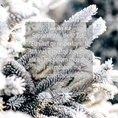 Picture 04 - Isaia 56:4 ALB - Sepse kështu thotë Zoti: 