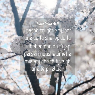 Picture 04 - Isaia 57:18 ALB - I pashë rrugët e tij, por unë do ta shëroj, - Bible Verse Picture