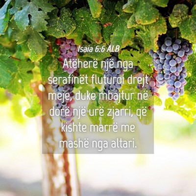 Picture 04 - Isaia 6:6 ALB - Atëherë një nga serafinët fluturoi drejt - Bible Verse Picture