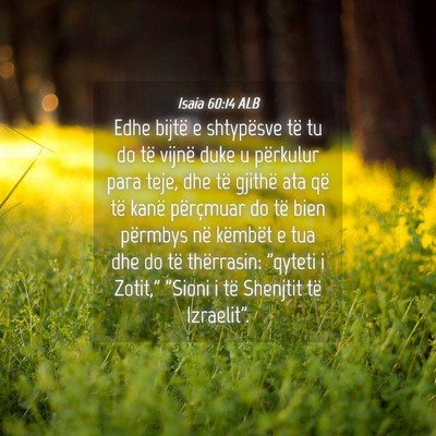 Picture 04 - Isaia 60:14 ALB - Edhe bijtë e shtypësve të tu do të vijnë - Bible Verse Picture