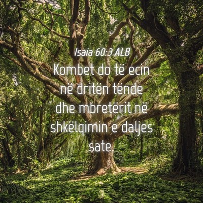 Picture 04 - Isaia 60:3 ALB - Kombet do të ecin në dritën tënde dhe - Bible Verse Picture