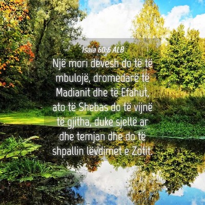Picture 04 - Isaia 60:6 ALB - Një mori devesh do të të mbulojë, dromedarë - Bible Verse Picture
