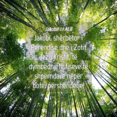 Picture 04 - Jakobit 1:1 ALB - Jakobi, shërbëtor i Perëndisë dhe i Zotit - Bible Verse Picture
