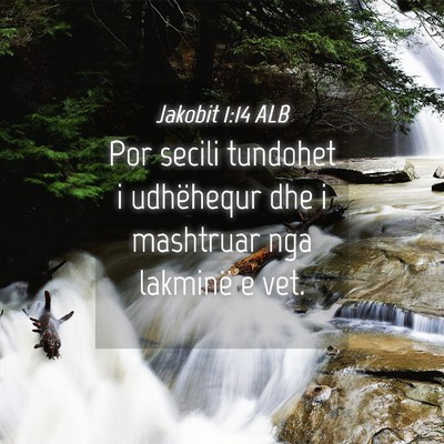 Picture 04 - Jakobit 1:14 ALB - Por secili tundohet i udhëhequr dhe i mashtruar - Bible Verse Picture
