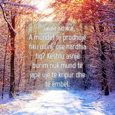 Picture 04 - Jakobit 3:12 ALB - A mundet të prodhojë fiku ullinj, ose hardhia - Bible Verse Picture