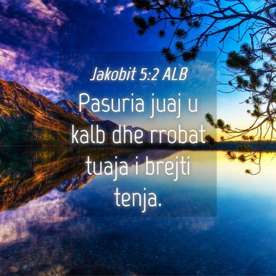 Picture 04 - Jakobit 5:2 ALB - Pasuria juaj u kalb dhe rrobat tuaja i brejti - Bible Verse Picture